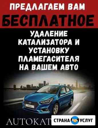 Бесплатное удаление катализаторов Санкт-Петербург