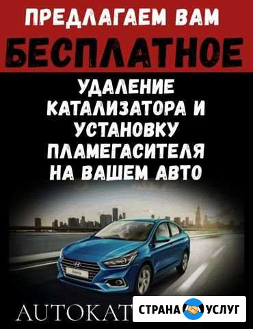 Бесплатное удаление катализаторов Санкт-Петербург - изображение 1