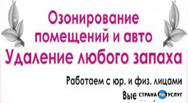 Удаление запахов, бактерий и вирусов. Озонирование Йошкар-Ола - изображение 1