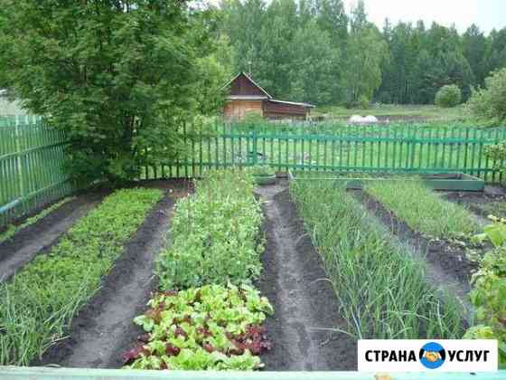 Приведем ваш участок в порядок Ульяновск
