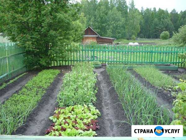 Приведем ваш участок в порядок Ульяновск - изображение 1