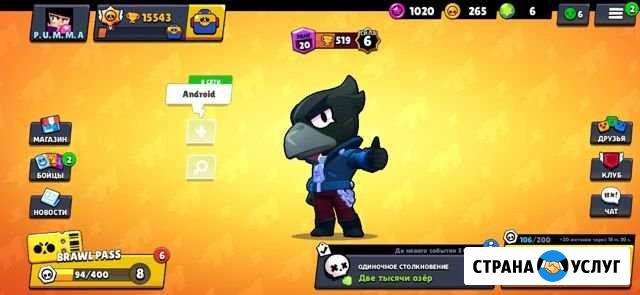 Тренер по игре Brawl stars Воскресенское - изображение 1