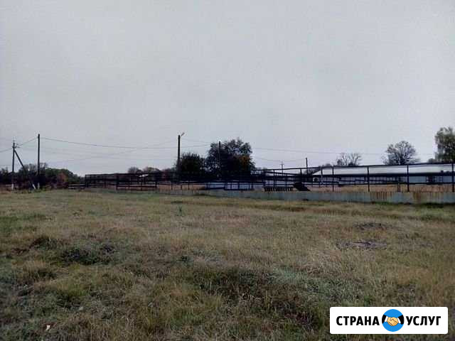Инвестируйте в сельское хозяйство Воронеж - изображение 1