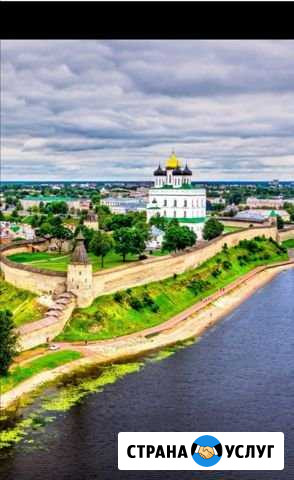 Покос травы - стрижка газона - удаление кустов Псков - изображение 1