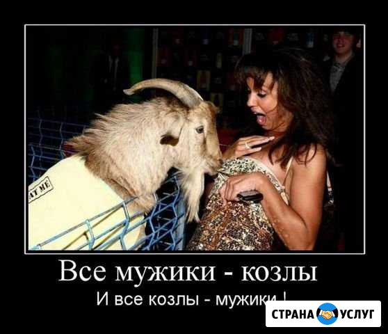 Личный психолог Вероники Рымарь Ялта - изображение 1