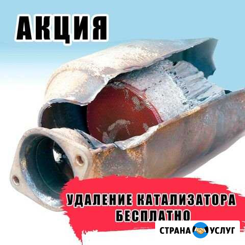 Бесплатное удаление катализаторов Калуга - изображение 1