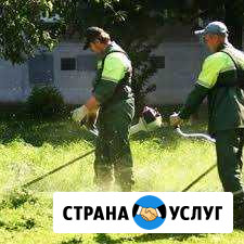 Покос травы, косьба газонов, благоустройство Орёл - изображение 1