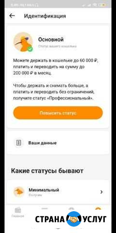Делаю Основной статус Qiwi Воронеж - изображение 1