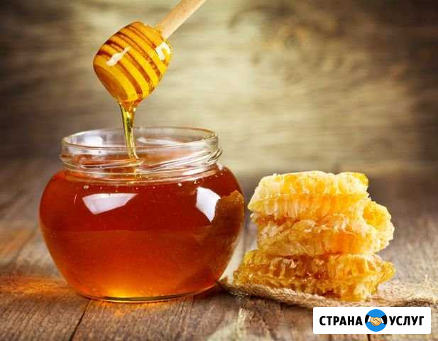 Мёд Балашов - изображение 1