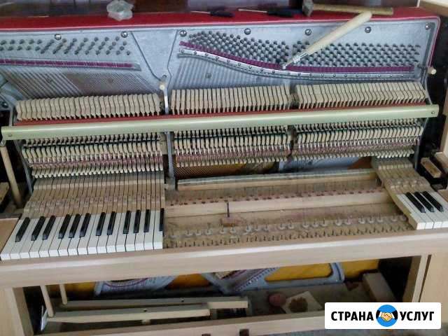 Настройка пианино / настройщик пианино/фортепиано Нижний Новгород - изображение 1