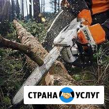 Удаление и санитарная обрезка деревьев Саранск - изображение 1
