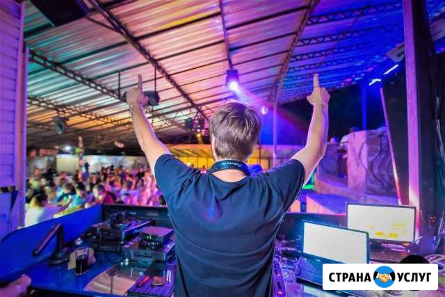 Профессиональный DJ Парковый - изображение 1