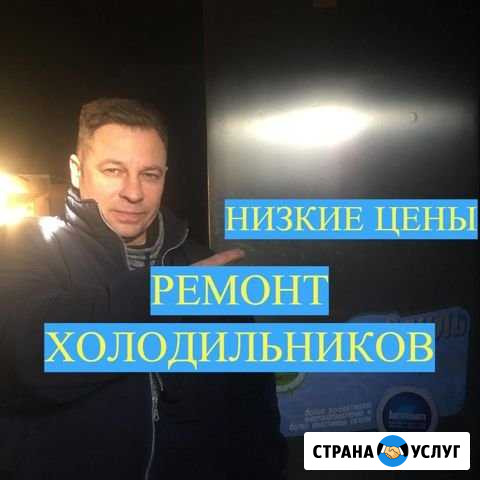 Ремонт холодильников Челябинск - изображение 1