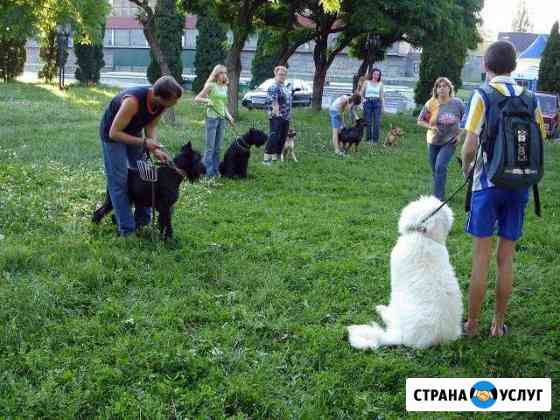 Дрессировка, воспитание собаки, щенка Ставрополь