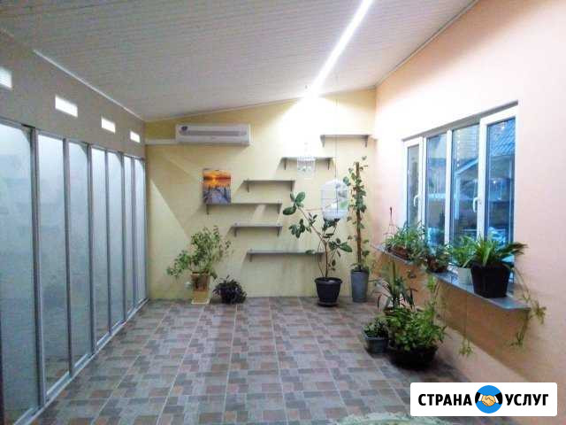 Гостиница для кошек, собак мелких пород и мелких ж Видное - изображение 1