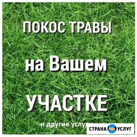 Покос травы, вырубка кустарника, покраска Александров - изображение 1