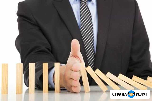Защита имущества от ареста, взыскания, суда Новосибирск - изображение 1