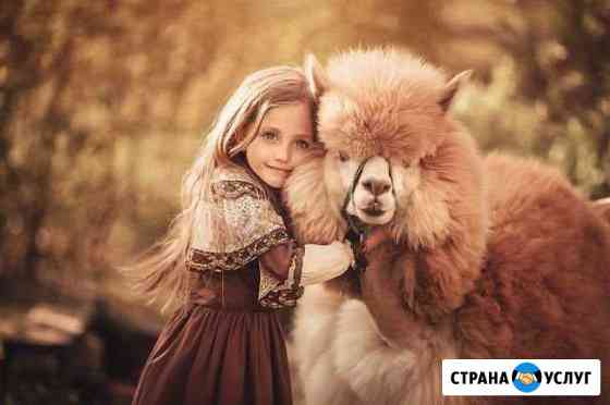 Детские фотосессии с животными Москва