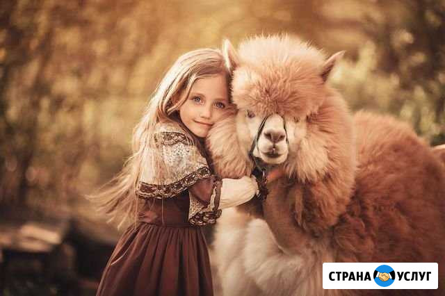 Детские фотосессии с животными Москва - изображение 1