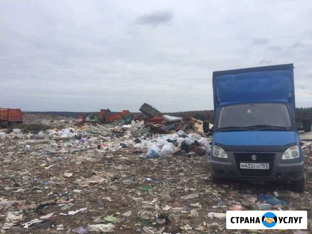 Вывоз мусора, уборка мусора Пермь - изображение 1