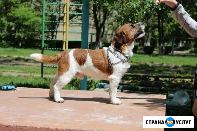 Вязка дрт Минеральные Воды - изображение 1
