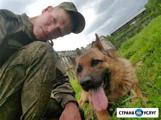 Кинолог. Обучение собак. окд, зкс и прочее Белгород