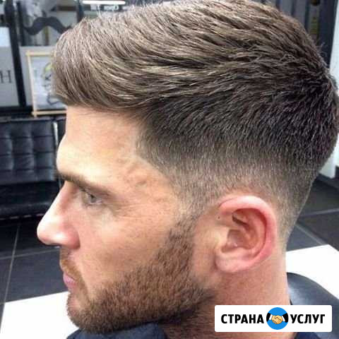 Модель на стрижку Сертолово - изображение 1