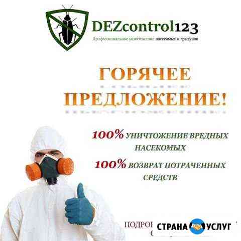 Уничтожение тараканов, клопов и.т.д. Дезинсекция Шадринск