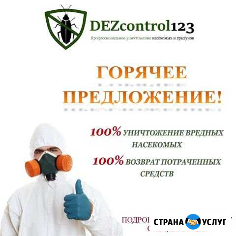 Уничтожение тараканов, клопов и.т.д. Дезинсекция Шадринск - изображение 1