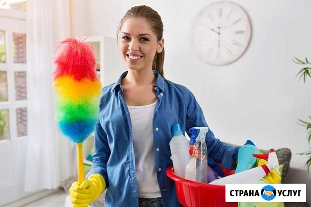 Мастер чистоты и порядка Южно-Сахалинск - изображение 1