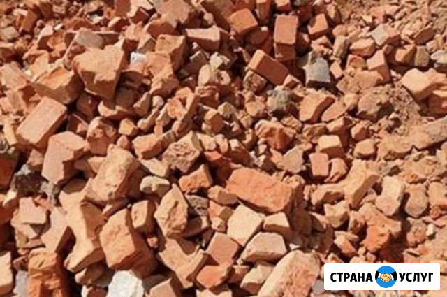 Приму бой Колтуши - изображение 1