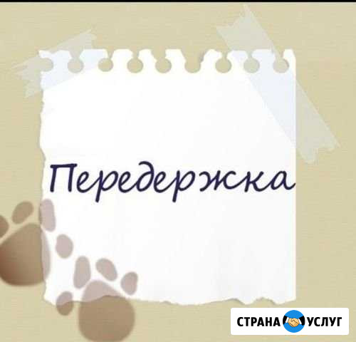 Передержка животных Улан-Удэ - изображение 1