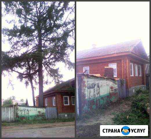 Спилим любое дерево круглый год Кострома