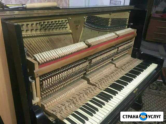 Настройка фортепиано Тихорецк - изображение 1