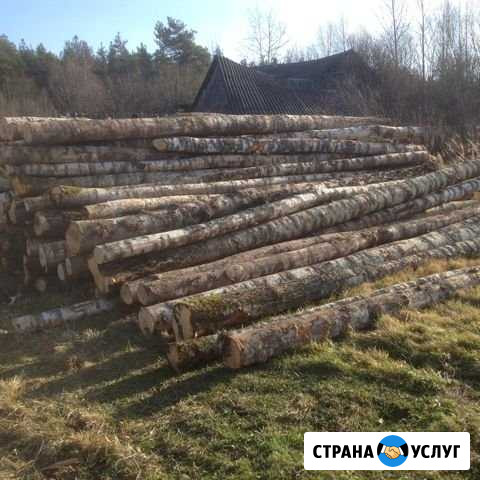 Дрова березовые сухие в мешках Саров - изображение 1