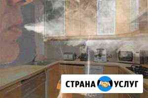 Дезинфекция, удаление запахов, плесени и насекомых Барнаул