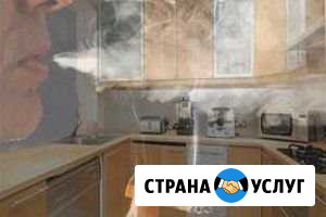 Дезинфекция, удаление запахов, плесени и насекомых Барнаул - изображение 1