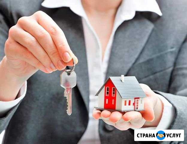 Агент по недвижимости Лиски - изображение 1