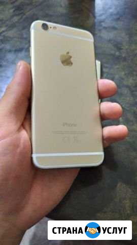 iPhone 6 32gb gold Ачхой-Мартан - изображение 1