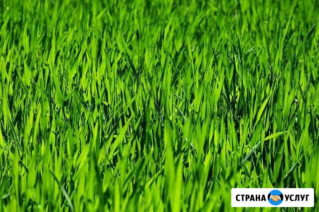 Покос травы и расчистка участка Выселки - изображение 1