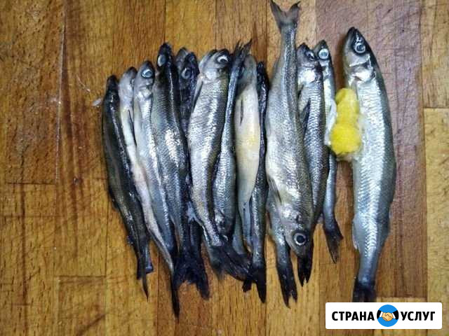 Продукты питания Мурманск - изображение 1