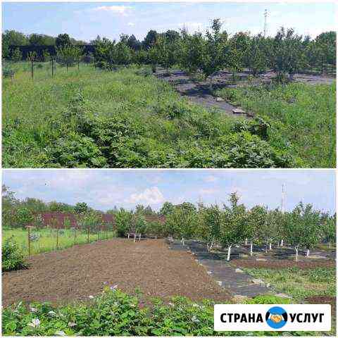 Вспашка земли мотоблоком.Покос травы Таганрог