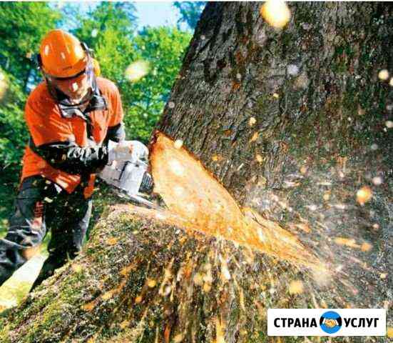 Спил деревьев Геленджик