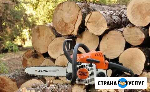 Спил деревьев Пятигорск - изображение 1