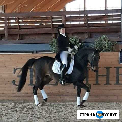 Обучение верховой езде Лесной - изображение 1