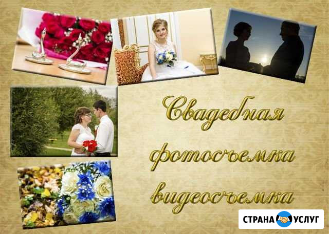 Фотограф Сокол - изображение 1