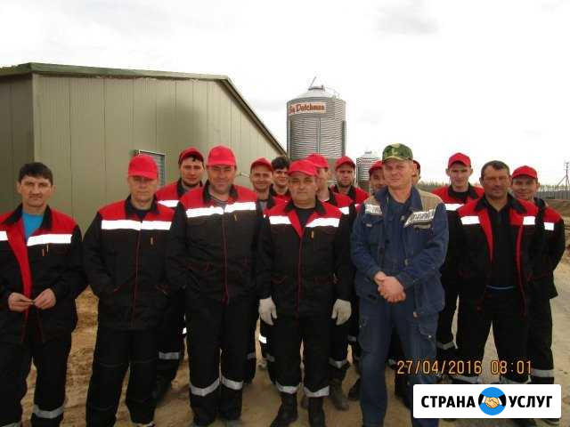 Монтаж оборудование для свинокомплексов, птичников Саранск - изображение 1