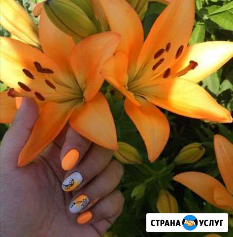 Маникюр+покрытие Новомосковск - изображение 1