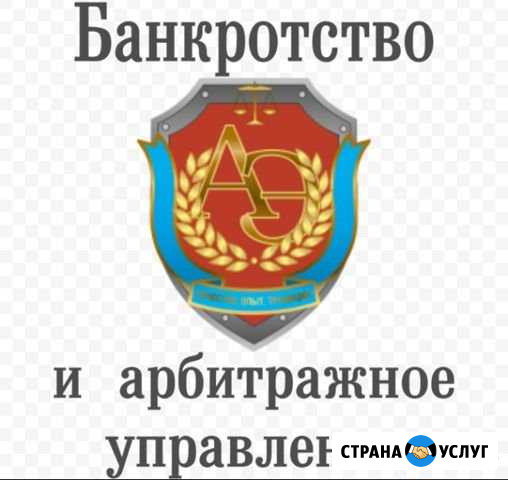 Арбитражный управляющий, юрист, бухгалтер Шуя - изображение 1