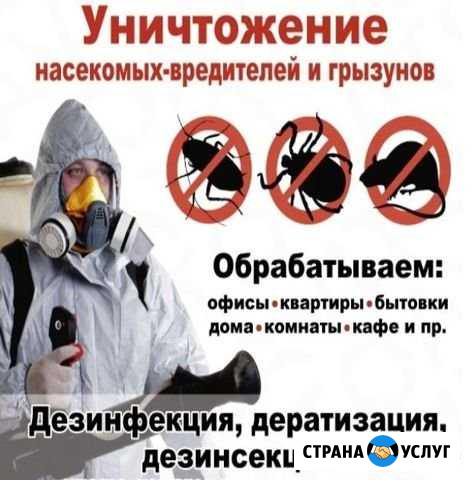 Уничтожение тараканов, клопов, клещей, насекомых Тверь - изображение 1